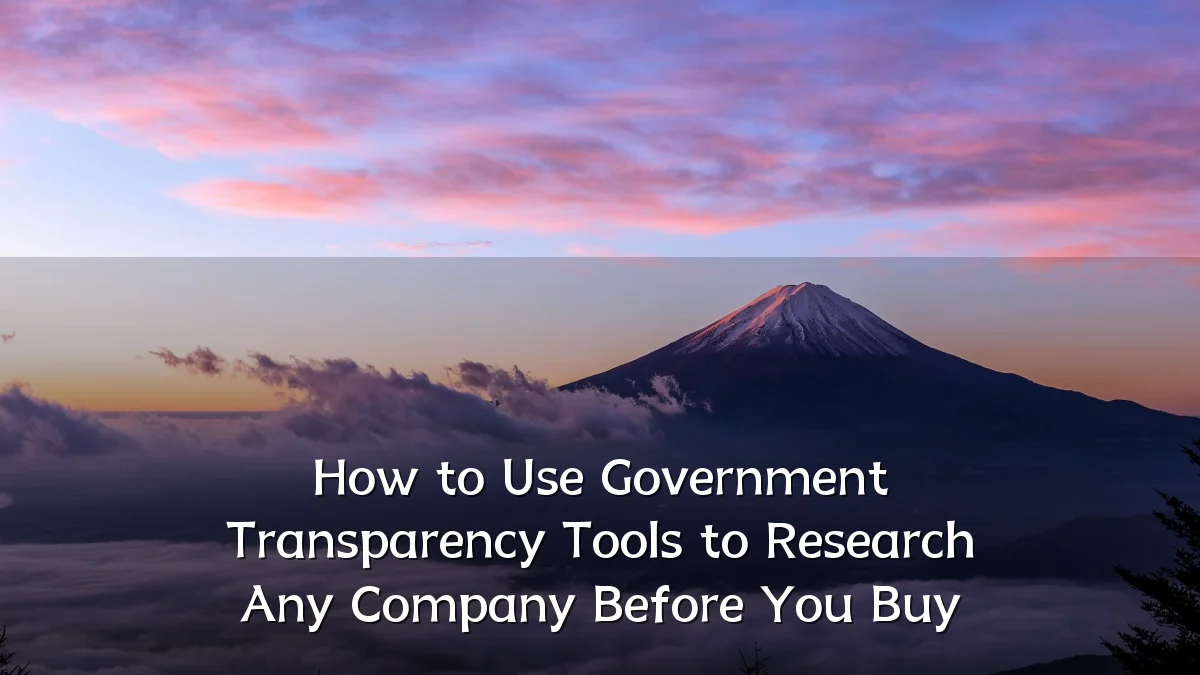 How to Use Government Transparency Tools to Research Any Company Before You Buy