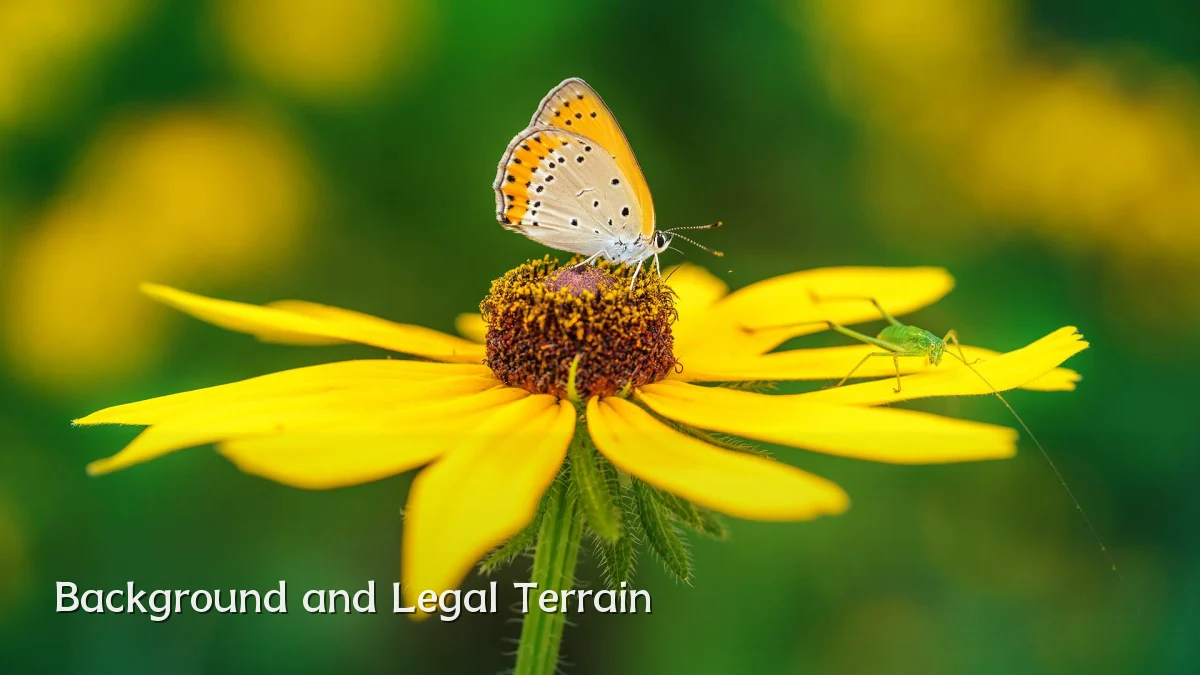 Background and Legal Terrain