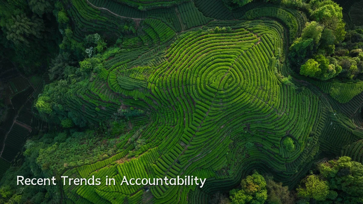 Recent Trends in Accountability