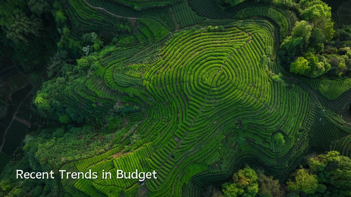 Recent Trends in Budget