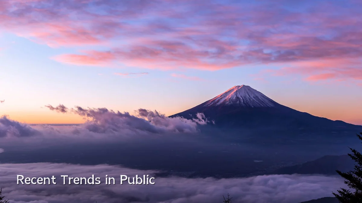 Recent Trends in Public