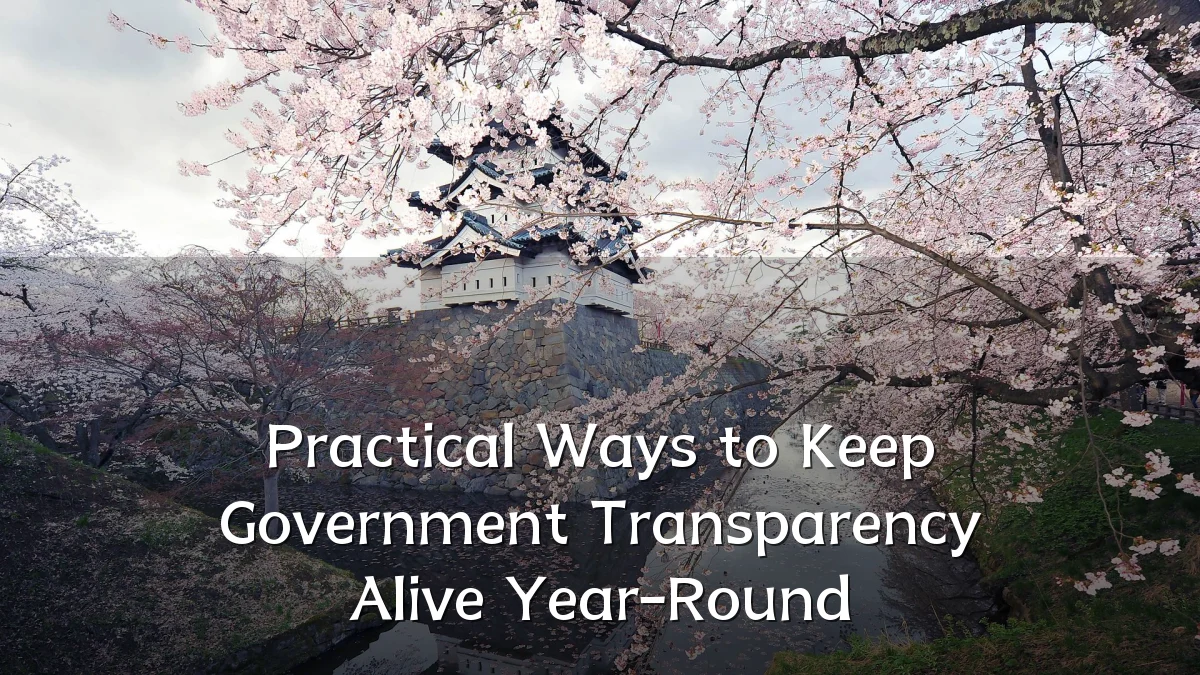 Practical Ways to Keep Government Transparency Alive Year-Round