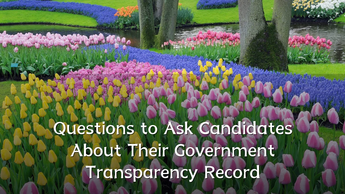 Questions to Ask Candidates About Their Government Transparency Record