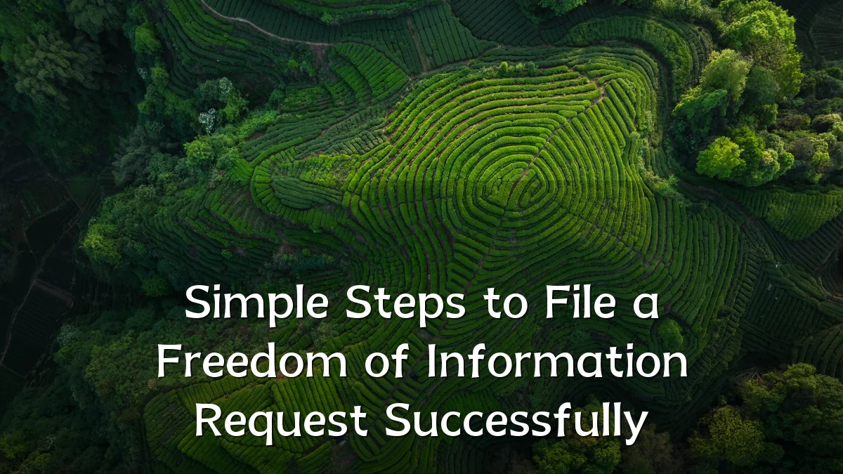 Simple Steps to File a Freedom of Information Request Successfully