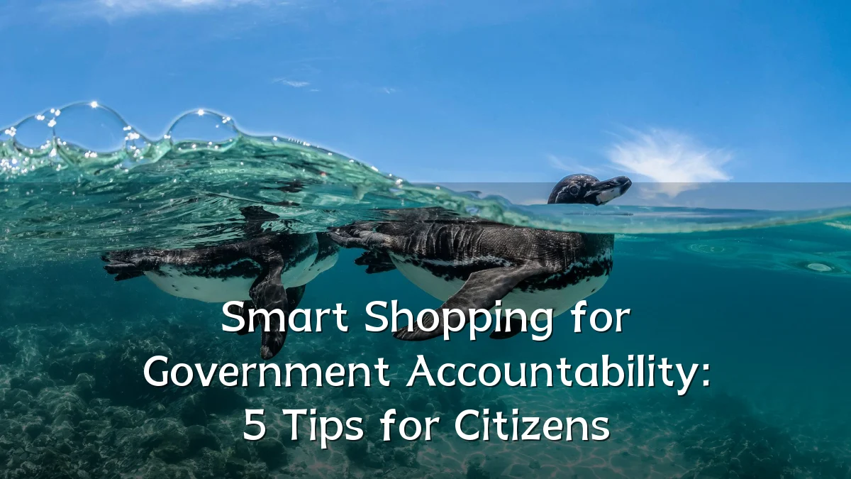 Smart Shopping for Government Accountability: 5 Tips for Citizens