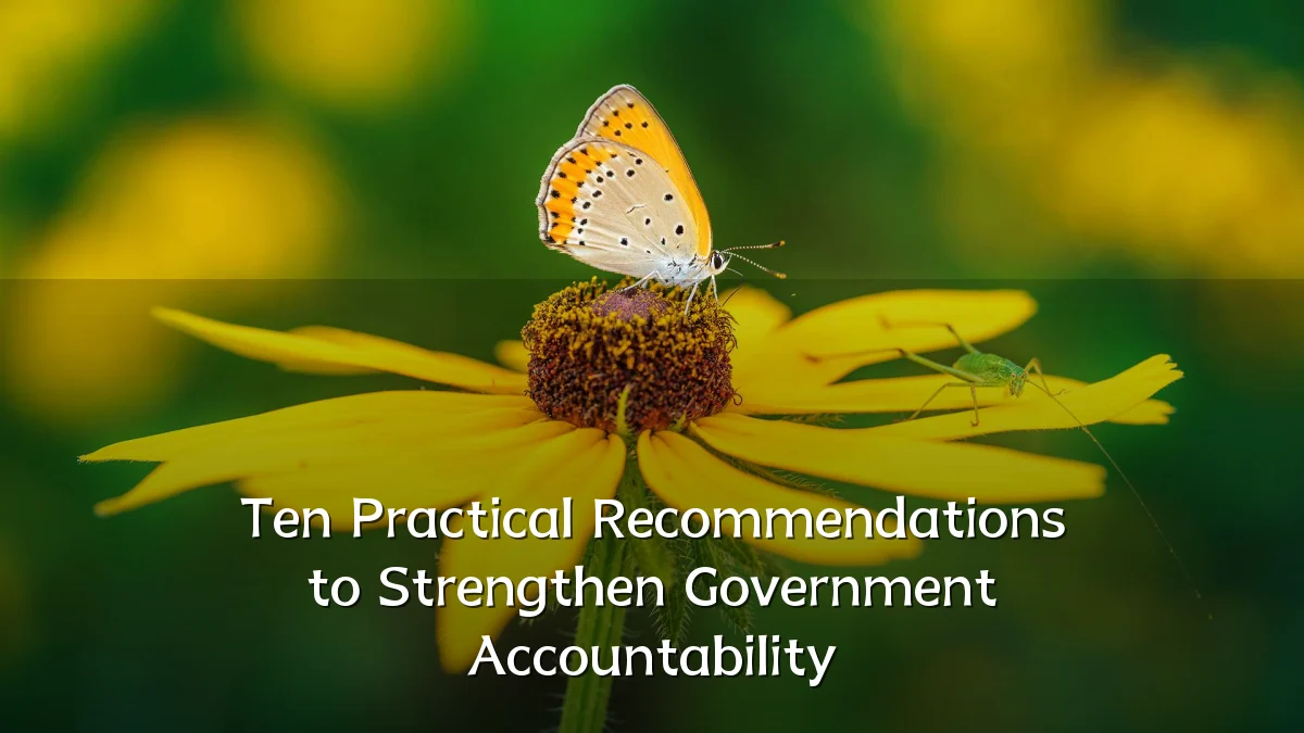 Ten Practical Recommendations to Strengthen Government Accountability