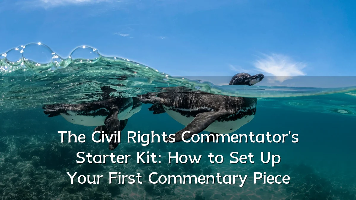 The Civil Rights Commentator's Starter Kit: How to Set Up Your First Commentary Piece