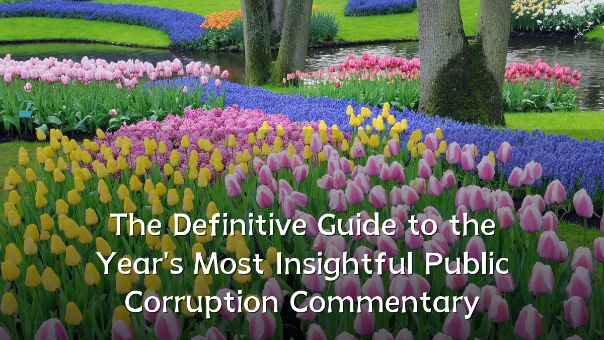 The Definitive Guide to the Year's Most Insightful Public Corruption Commentary