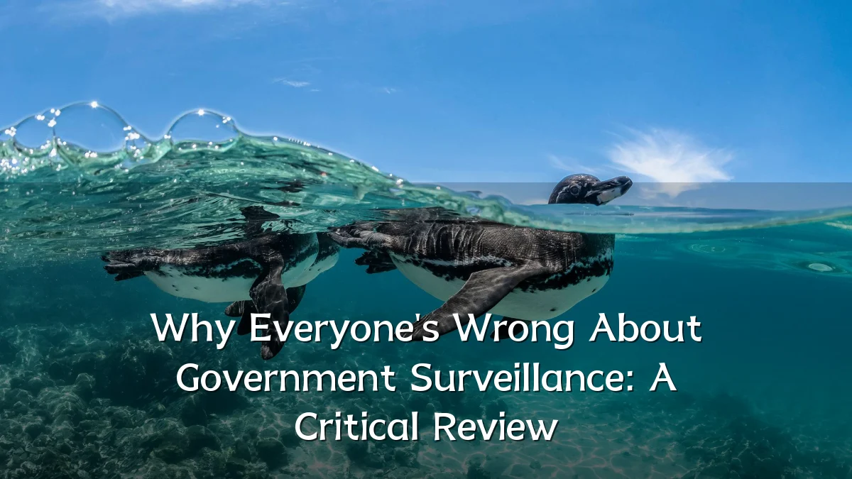 Why Everyone's Wrong About Government Surveillance: A Critical Review